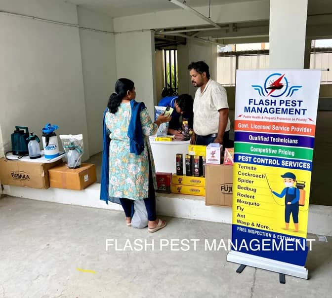 Pest control services in Chennai - Flash Pest Management