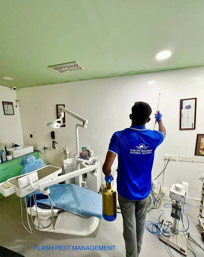 Pest Control in Chennai