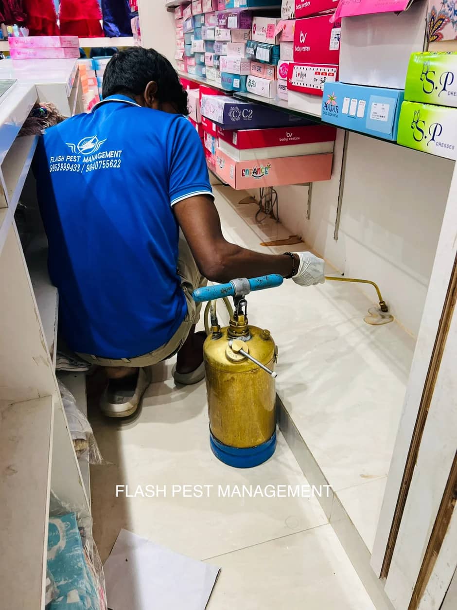 Pest Control in Chennai