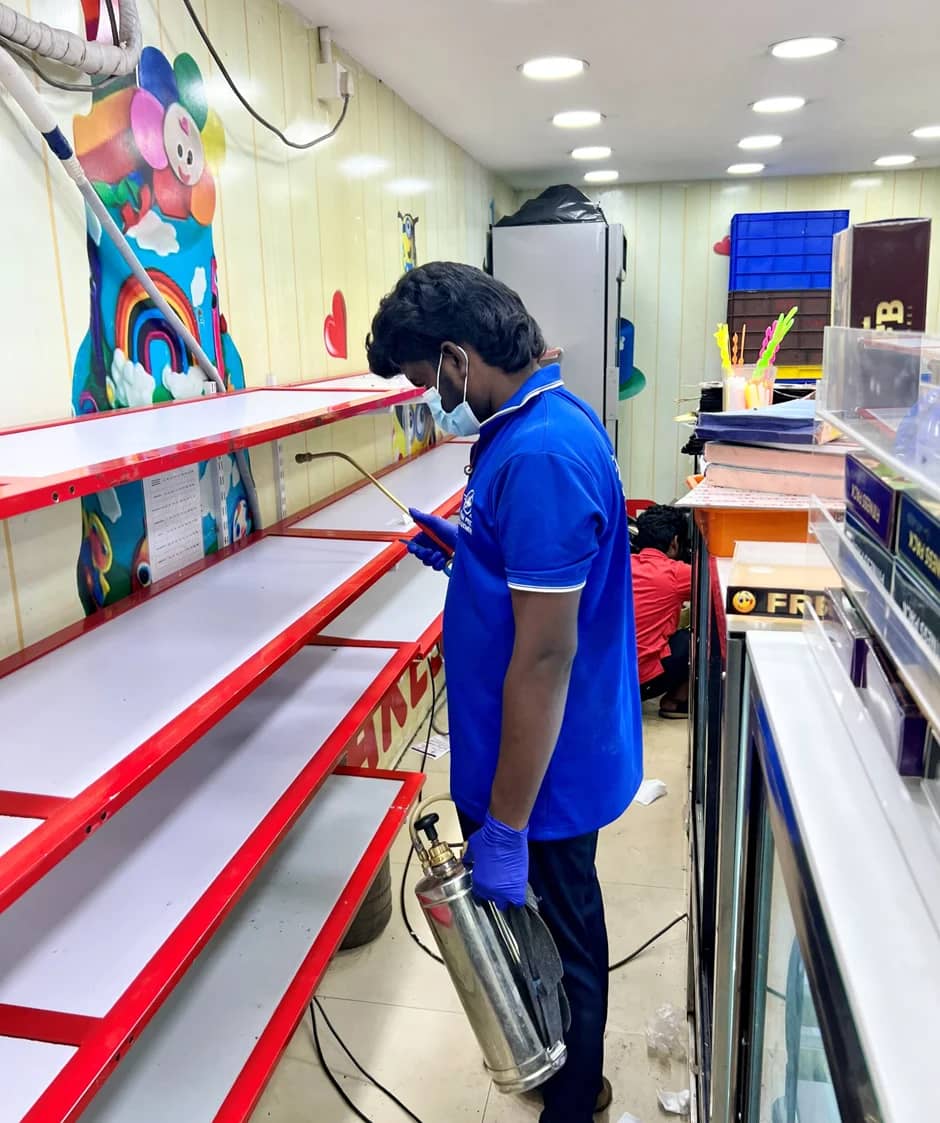 Pest Control in Chennai