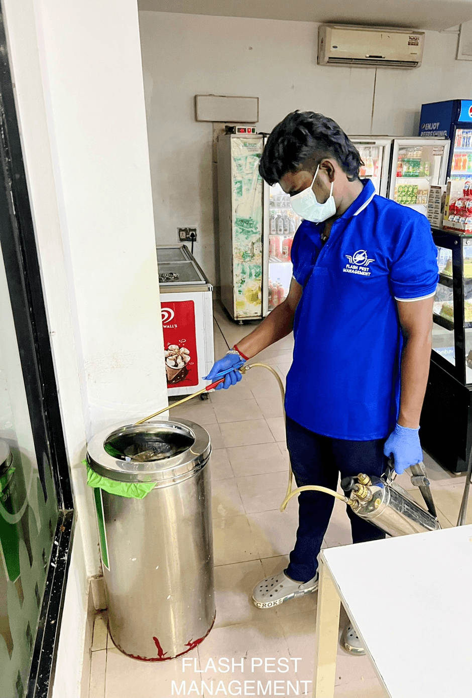 Chennai’s Trusted Pest Control Experts