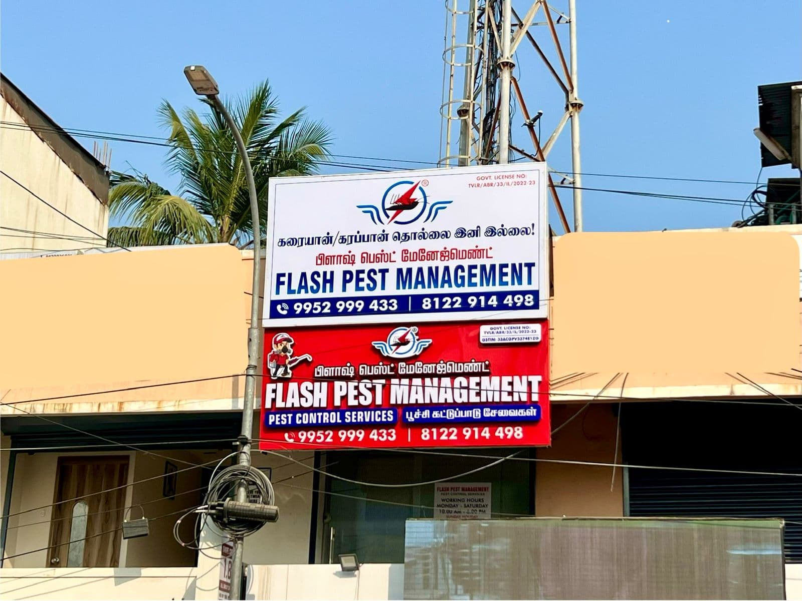 Chennai’s Trusted Pest Control Experts