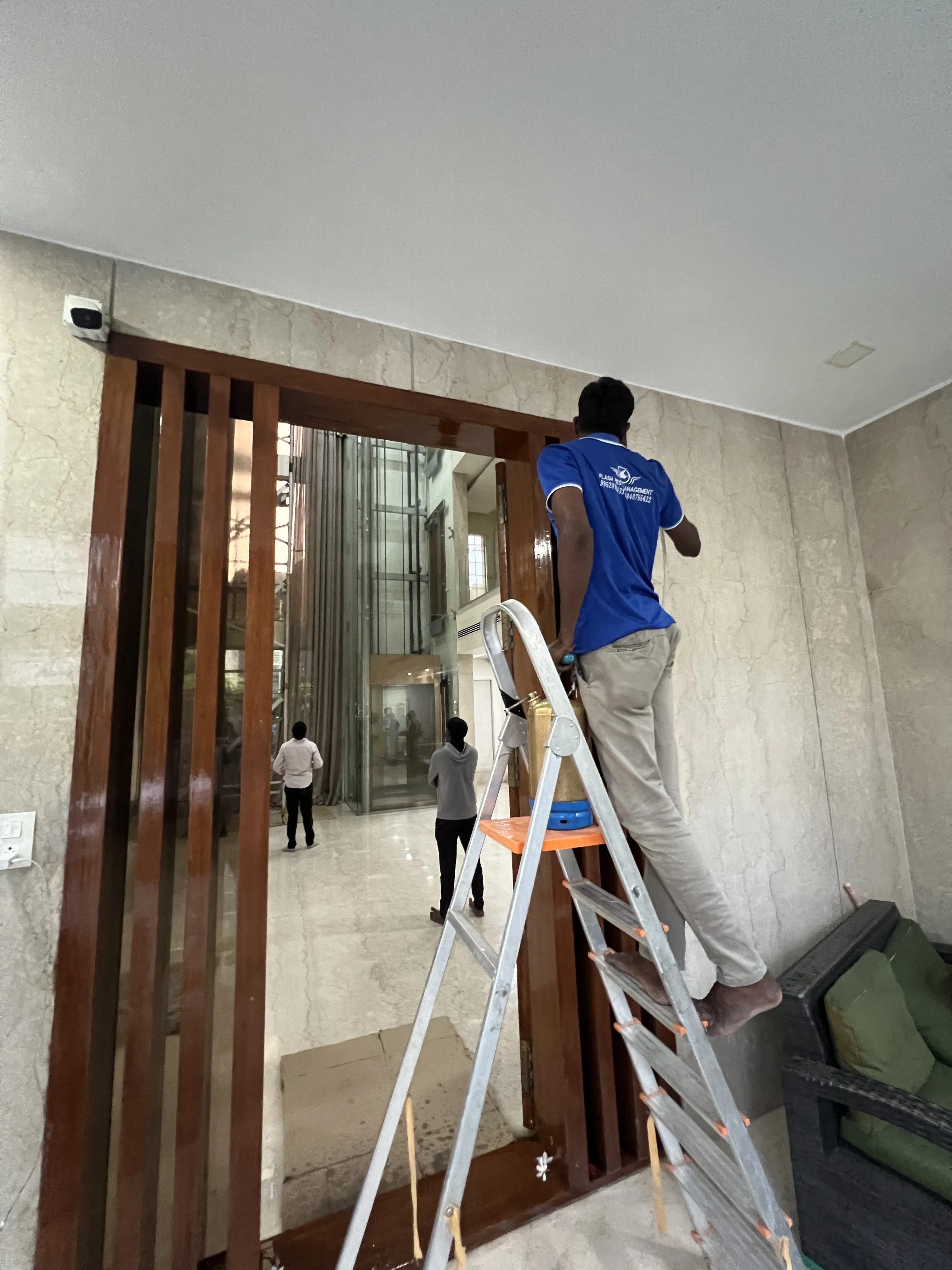 termites effect on house