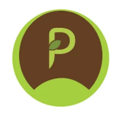 Pre Construction Anti Termite Treatment Chennai