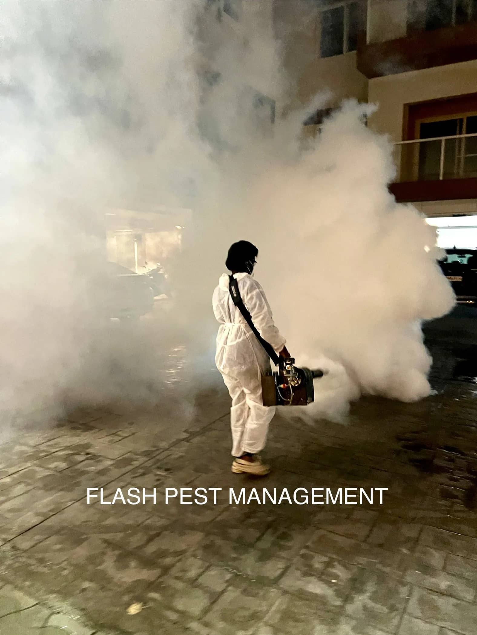 Best Mosquito Control Services in Chennai | Fogging & Larval Treatment - Flash Pest Management Chennai