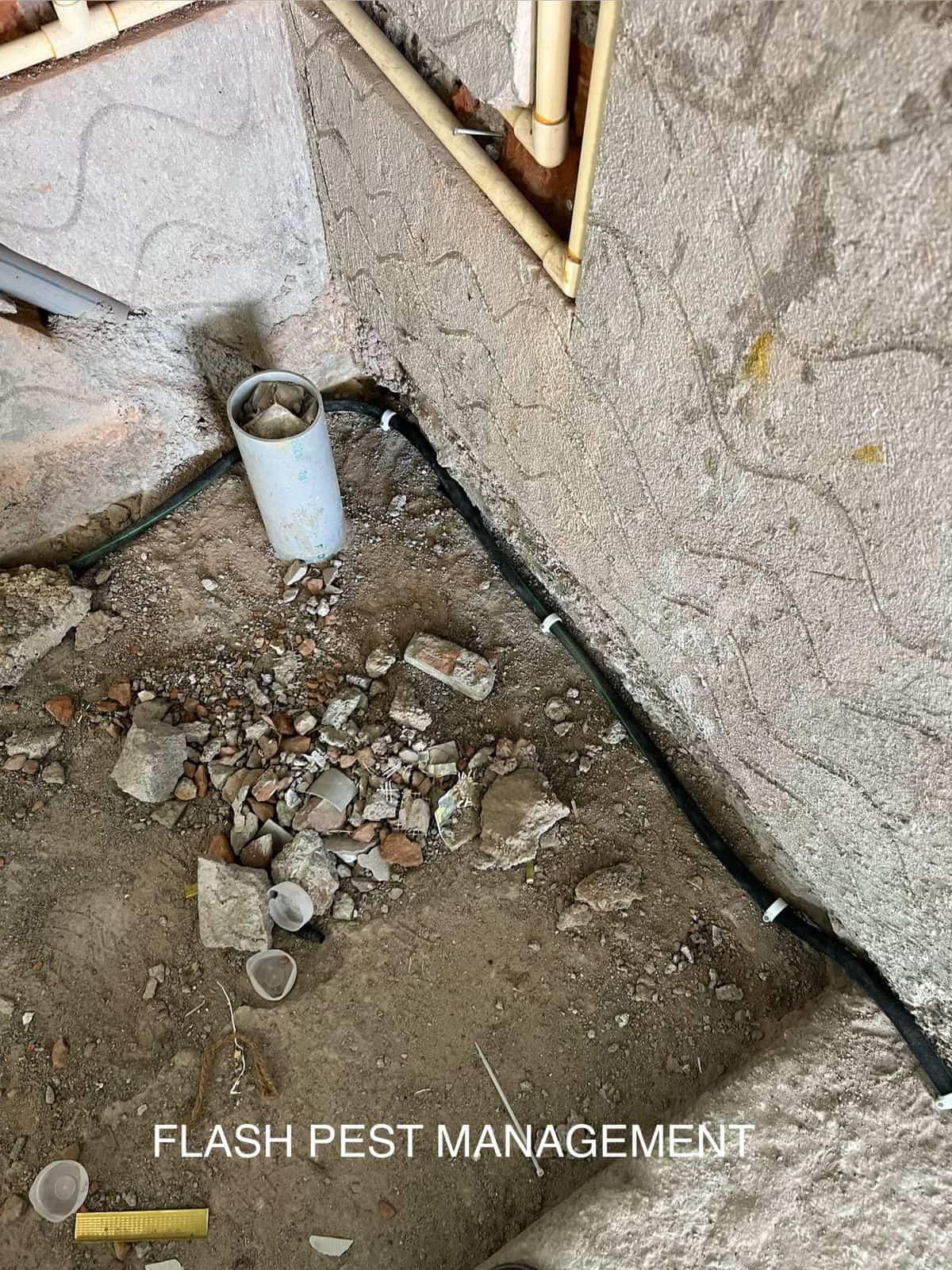 Technician installing reticulated piping pest control system during building construction