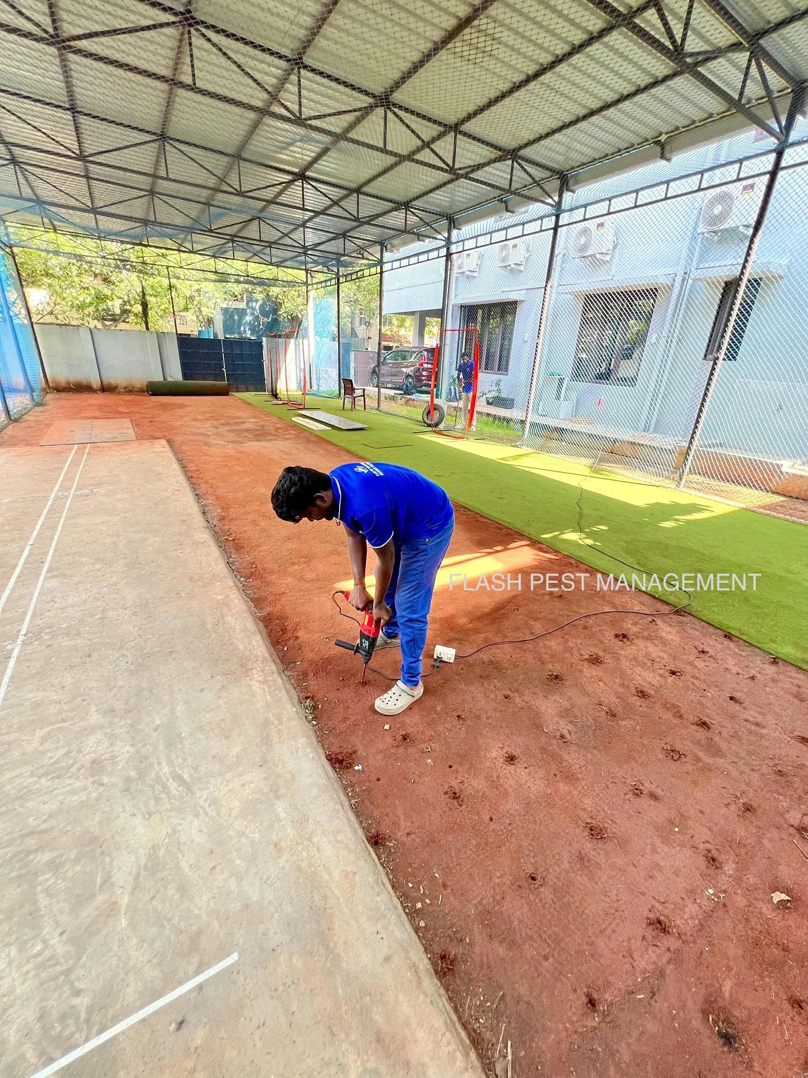 termites effect on house